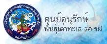 Relateds Banner Slider-68787264222fc.jpg